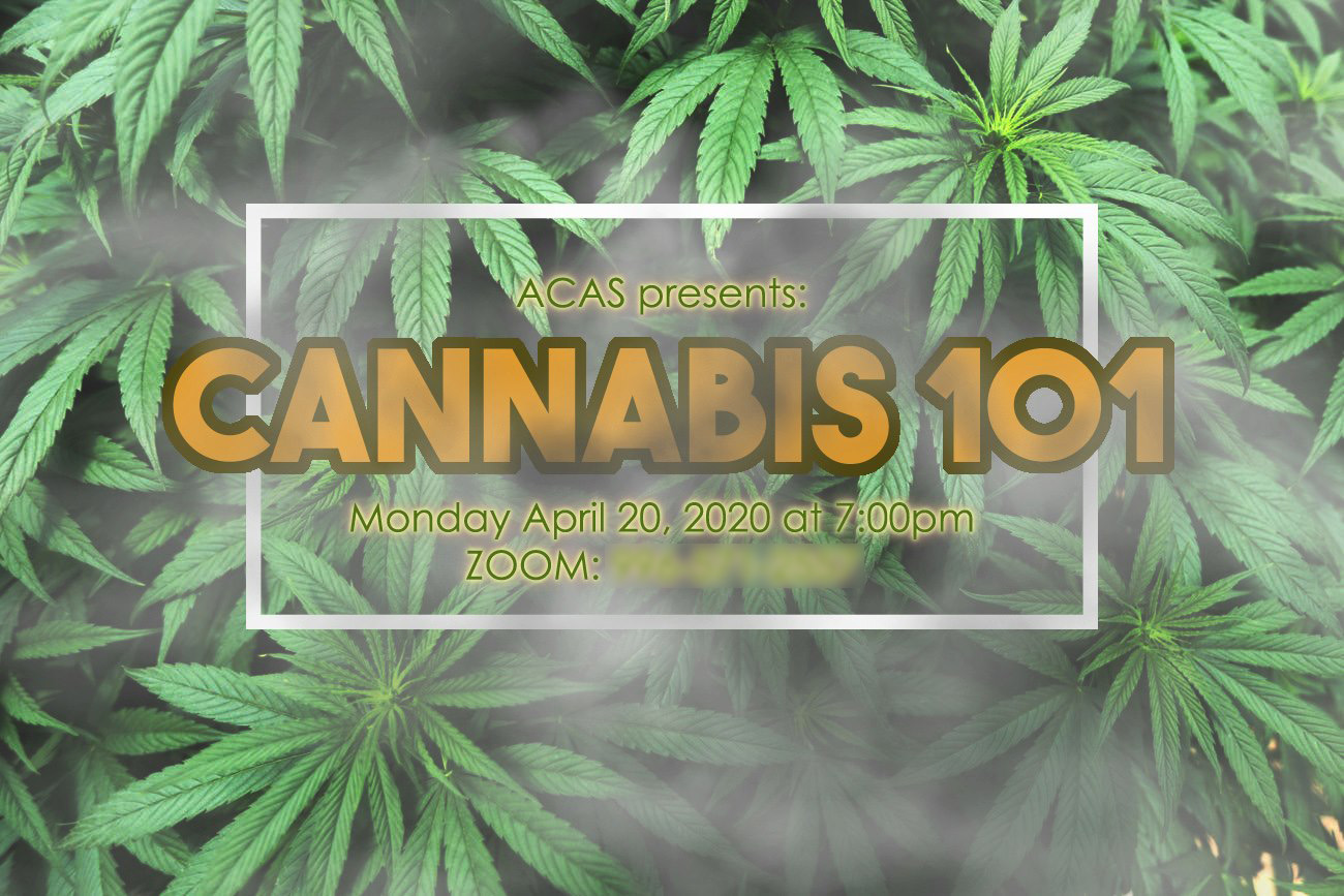 Cannabis 101 Poster - April 20
